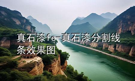 真石漆fe-真石漆分割线条效果图