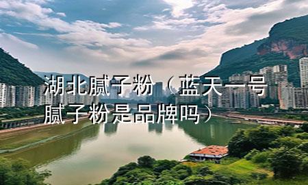 湖北腻子粉（蓝天一号腻子粉是品牌吗）