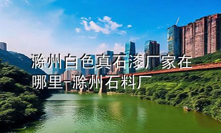 滁州白色真石漆厂家在哪里-滁州石料厂