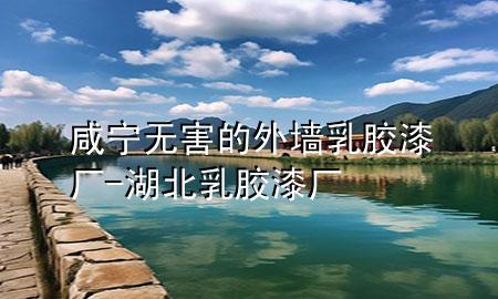 咸宁无害的外墙乳胶漆厂-湖北乳胶漆厂