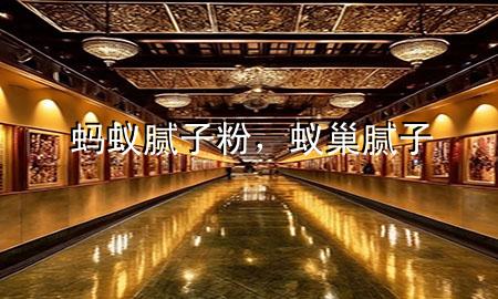 蚂蚁腻子粉，蚁巢腻子