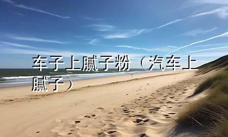 车子上腻子粉（汽车上腻子）