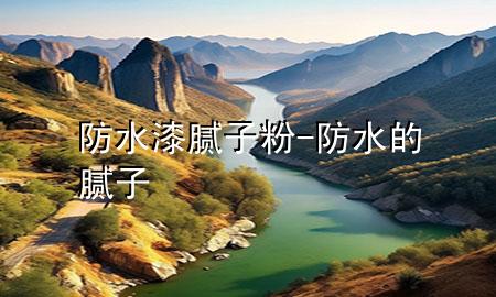 防水漆 腻子粉-防水的腻子