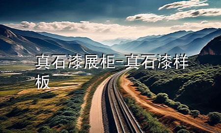 真石漆展柜-真石漆样板