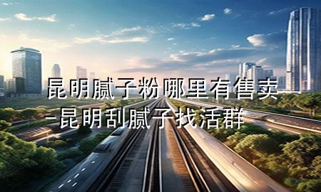 昆明腻子粉哪里有售卖-昆明刮腻子找活群