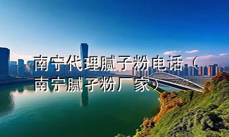 南宁代理腻子粉电话（南宁腻孑粉厂家）