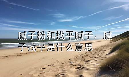 腻子粉和找平腻子，腻子找平是什么意思