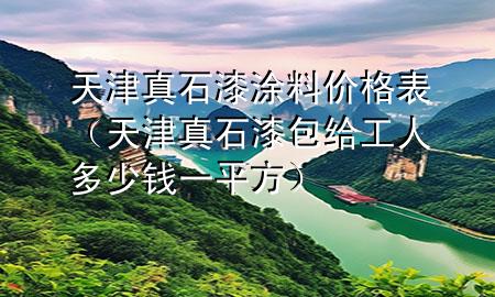 天津真石漆涂料价格表（天津真石漆包给工人多少钱一平方）