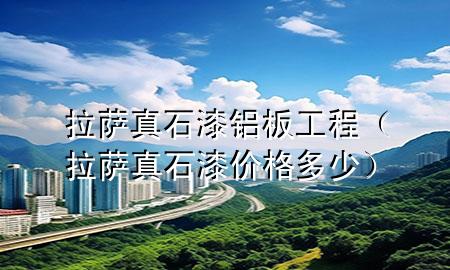 拉萨真石漆铝板工程（拉萨真石漆价格多少）