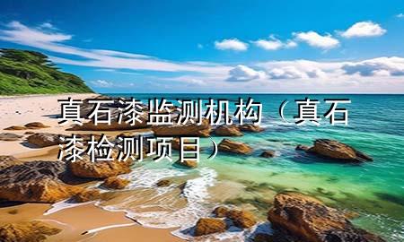 真石漆监测机构（真石漆检测项目）