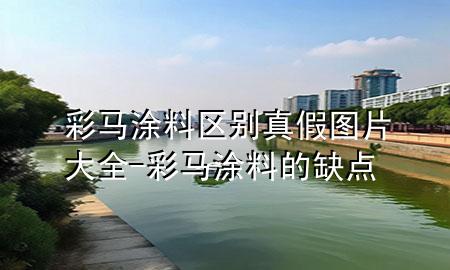 彩马涂料区别真假图片大全-彩马涂料的缺点