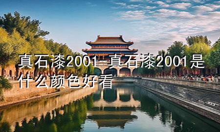真石漆2001-真石漆2001是什么颜色好看