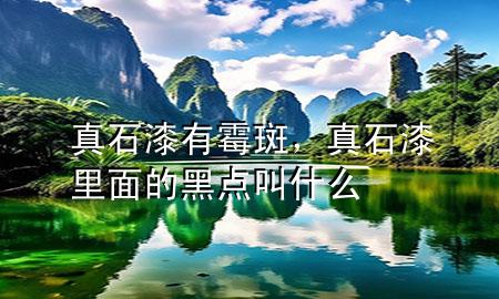 真石漆有霉斑，真石漆里面的黑点叫什么