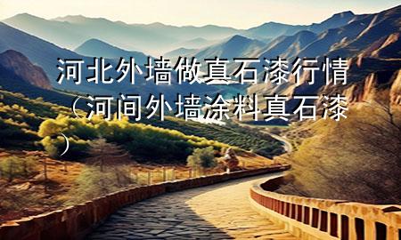 河北外墙做真石漆行情（河间外墙涂料真石漆）