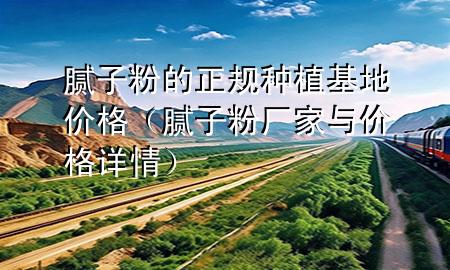 腻子粉的正规种植基地价格（腻子粉厂家与价格详情）