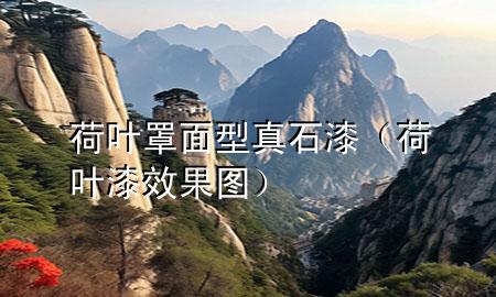 荷叶罩面型真石漆（荷叶漆效果图）