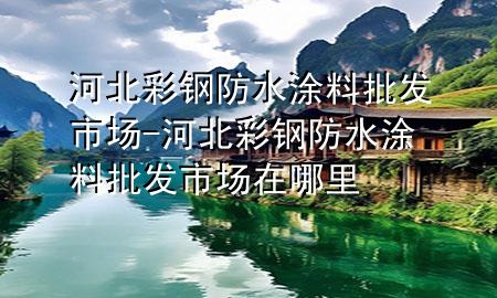 河北彩钢防水涂料批发市场-河北彩钢防水涂料批发市场在哪里