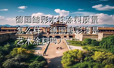 德国鲸彩水性涂料质量怎么样（德国鲸彩漆是艺术涂料吗）