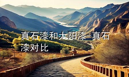 真石漆和太阳漆-真石漆对比