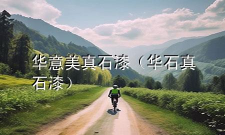 华意美真石漆（华石真石漆）