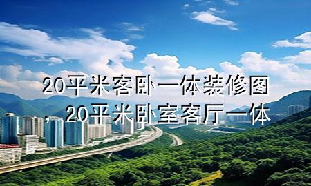 20平米客卧一体装修图，20平米卧室客厅一体