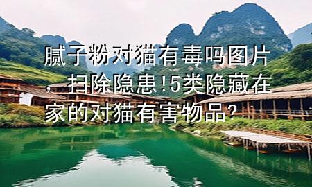 腻子粉对猫有毒吗图片，扫除隐患!5类隐藏在家的对猫有害物品?
