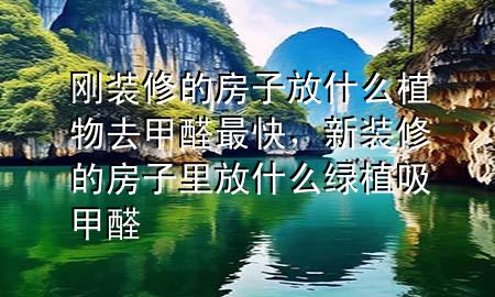 刚装修的房子放什么植物去甲醛最快，新装修的房子里放什么绿植吸甲醛