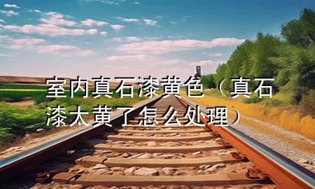 室内真石漆黄色（真石漆太黄了怎么处理）