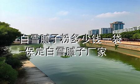 白雪腻子粉多少钱一袋-保定白雪腻子厂家