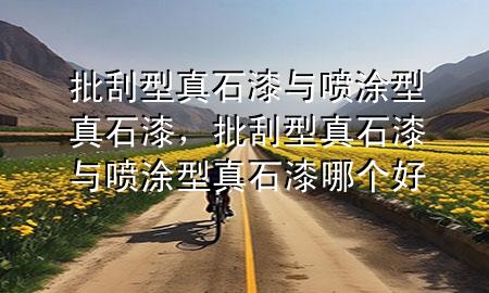 批刮型真石漆与喷涂型真石漆，批刮型真石漆与喷涂型真石漆哪个好