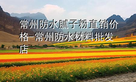 常州防水腻子粉直销价格-常州防水材料批发店