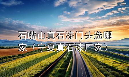 石嘴山真石漆门头选哪家（宁夏真石漆厂家）