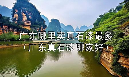 广东哪里卖真石漆最多（广东真石漆哪家好）