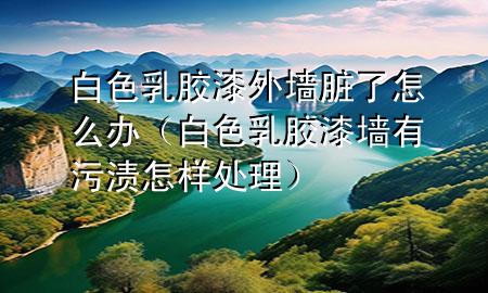 白色乳胶漆外墙脏了怎么办（白色乳胶漆墙有污渍怎样处理）