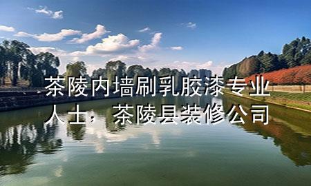 茶陵内墙刷乳胶漆专业人士，茶陵县装修公司