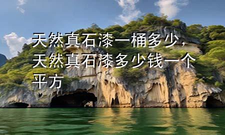 天然真石漆一桶多少，天然真石漆多少钱一个平方