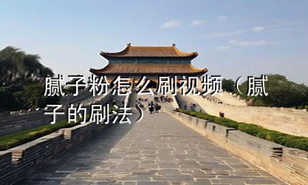 腻子粉怎么刷视频（腻子的刷法）
