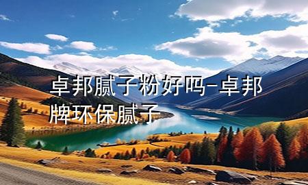 卓邦腻子粉好吗-卓邦牌环保腻子