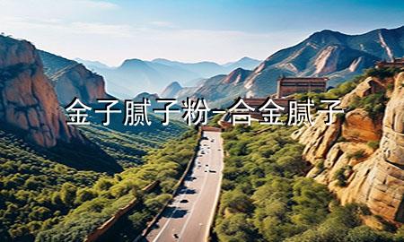 金子腻子粉-合金腻子
