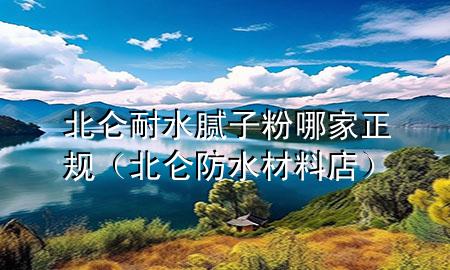 北仑耐水腻子粉哪家正规（北仑防水材料店）