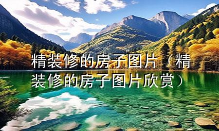 精装修的房子图片（精装修的房子图片欣赏）