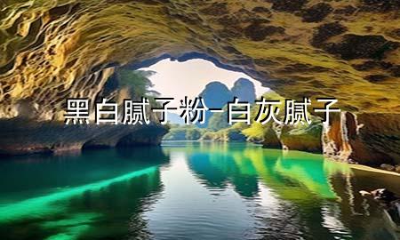 黑白腻子粉-白灰 腻子