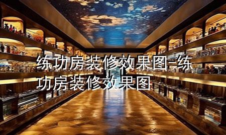 练功房装修效果图-练功房装修效果图