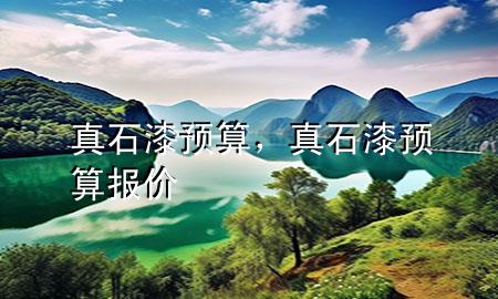 真石漆预算，真石漆预算报价