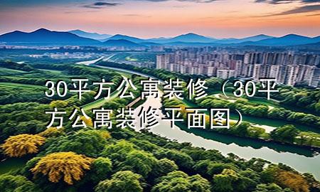 30平方公寓装修（30平方公寓装修平面图）