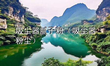 吸尘器 腻子粉（吸尘器 粉尘）