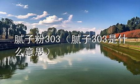 腻子粉303（腻子303是什么意思）