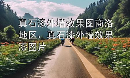 真石漆外墙效果图商洛地区，真石漆外墙效果漆图片