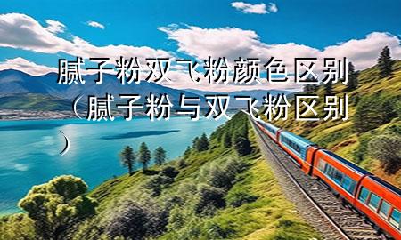 腻子粉双飞粉颜色区别（腻子粉与双飞粉区别）
