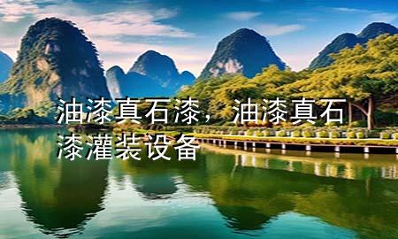 油漆真石漆，油漆真石漆灌装设备